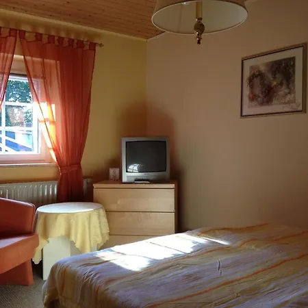 Ross Hotel 3*